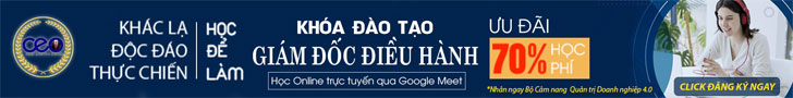 Khóa học Giám đốc Điều hành Chuyên nghiệp