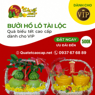Địa chỉ bán bưởi hồ lô giá tốt ở Sài gòn - Shop bưởi hồ lô tài lộc Bình Thạnh Địa chỉ bán bưởi hồ lô giá tốt ở Sài gòn - Shop bưởi hồ lô tài lộc Bình Thạnh